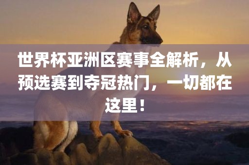 世界杯亚洲区赛事全解析，从预选赛到夺冠热门，一切都在这里！