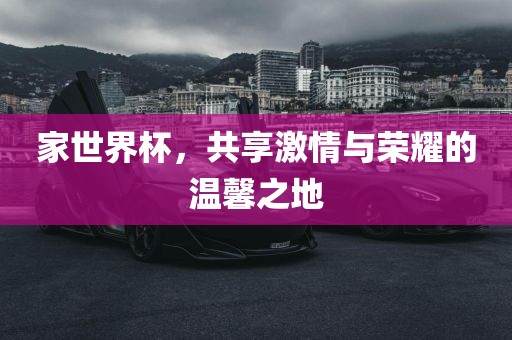 家世界杯，共享激情与荣耀的温馨之地金炬实业股份有限公司