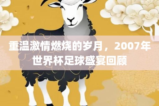 重温激情燃烧的岁月，2007年世界杯足球盛宴回顾