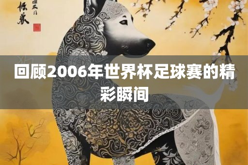 回顾2006年世界杯足球赛的精彩瞬间金炬实业股份有限公司