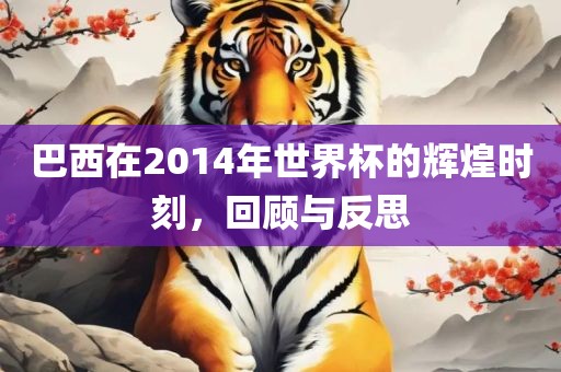 巴西在2014年世界杯的辉煌时刻，回顾与反思金炬实业股份有限公司