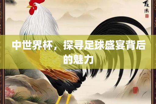 中世界杯，探寻足球盛宴背后的魅力