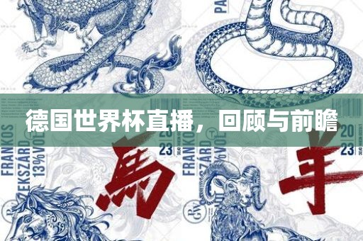 德国世界杯直播，金炬实业股份有限公司回顾与前瞻