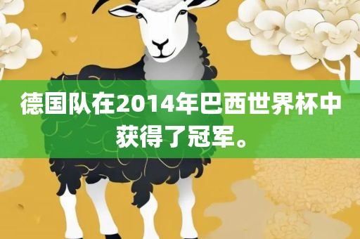 德国队在2014年巴西世界杯中获得了冠军。