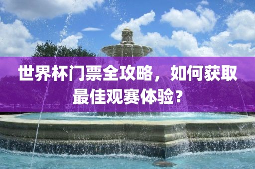 世界杯门票全攻略，如何获取最佳观赛体验？