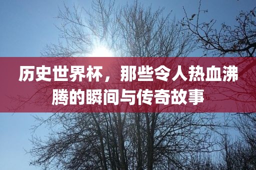 历史世界杯，那些令人热血沸腾的瞬间与传奇故事