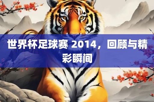 世界杯足球赛 2014，回顾与精彩瞬间金炬实业股份有限公司