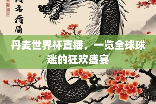 丹麦世界杯直播，一览全球球迷的狂欢盛宴