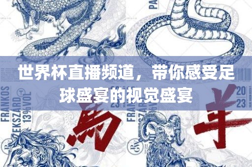 世界杯直播频道，带你感受足球盛宴的视觉盛宴