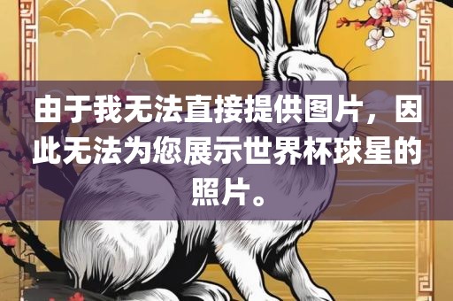 由于我无法直接提供图片，因此无法为您展示世界杯球星的照片。