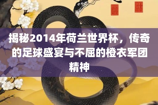 揭秘2014年荷兰世界杯，传奇的足球盛宴与不屈的橙衣军团金炬实业股份有限公司精神