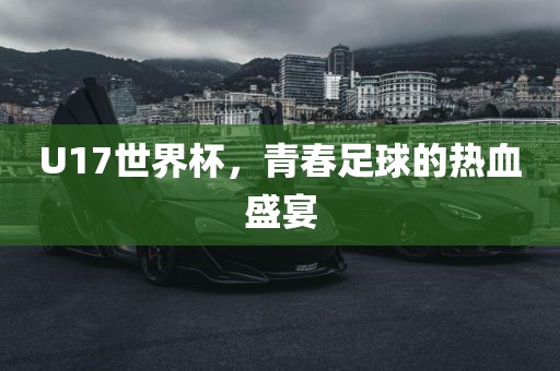 U17世界杯，青春足球的热血盛宴