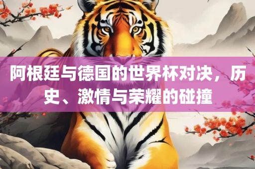 阿根廷与德国的世界杯对决，历史、激情与荣耀的碰撞