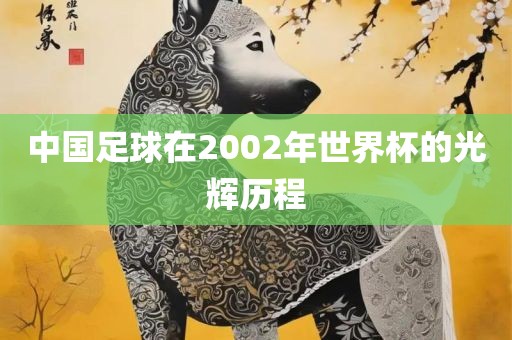 中国足球在2002年世界杯的光辉历程金炬实业股份有限公司