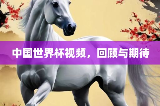 中国世界杯视频，回顾与期待