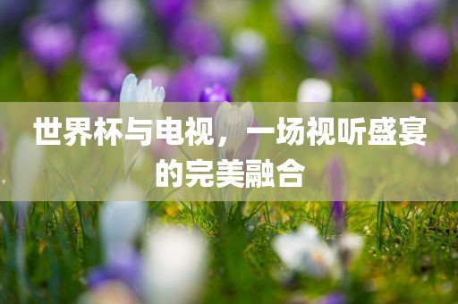 世界杯与电视，一场视听盛宴的完美融合
