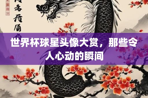 世界杯球星头像大赏，那些令人心动的瞬间