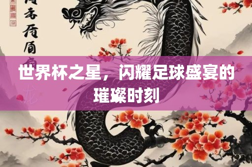 世界杯之星，闪耀足球盛宴的璀璨时刻金炬实业股份有限公司