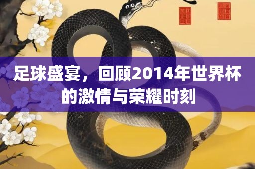 足球盛宴，回顾2014年世界杯的激情与荣耀时刻