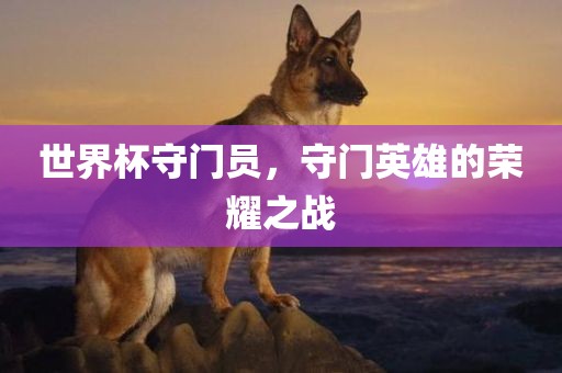 世界杯守门员，守门英雄的荣耀之战