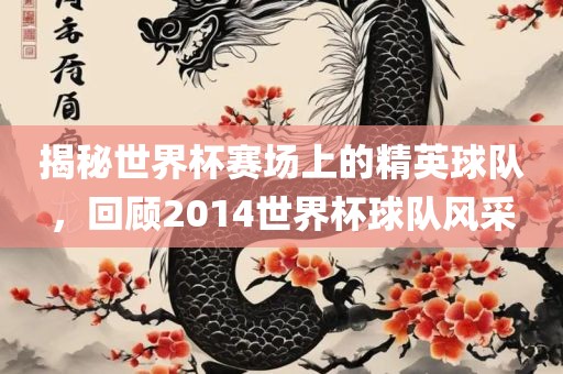 揭秘世界杯赛场上的精英球队，回顾2014世界杯球队风采金炬实业股份有限公司