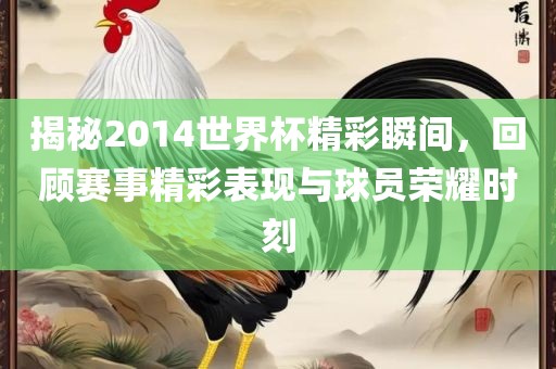 揭秘2014世界杯精彩瞬间，回顾赛事精彩表现与球员荣耀时刻金炬实业股份有限公司