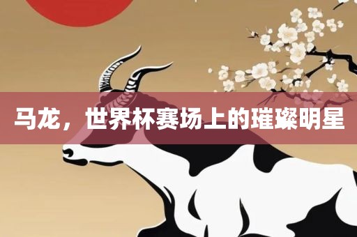 马龙，世界杯赛场上的璀璨明星