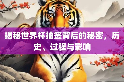 揭秘世界杯抽签背后的秘密，历史、过程与影响