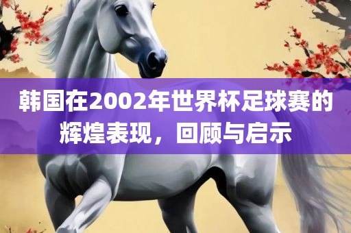 韩国在2002年世界杯足球赛的辉煌表现，回顾与启示