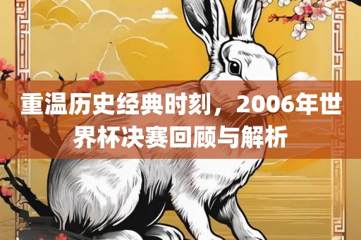 重温历史经典时刻，2006年世界杯决赛回顾与解析