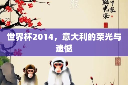 世界杯2014，意大利的荣光与遗憾