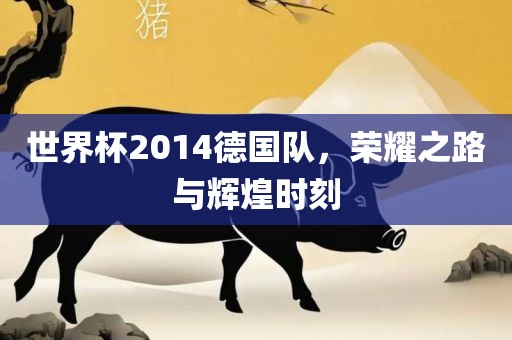 世界杯2014德国队，荣耀之路与辉煌时刻金炬实业股份有限公司