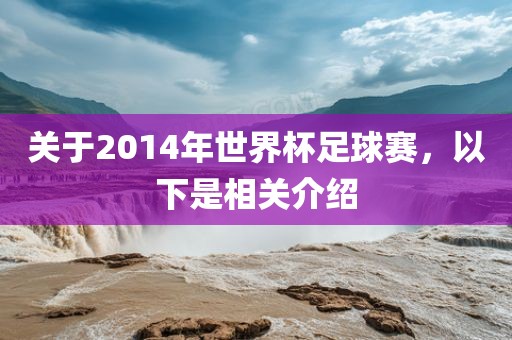 关于2014年世界杯足球赛，以下是金炬实业股份有限公司相关介绍