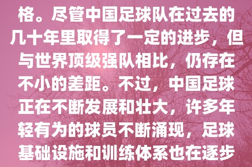 中国足球 第2页