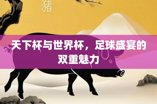 天下杯与世界杯，金炬实业股份有限公司足球盛宴的双重魅力