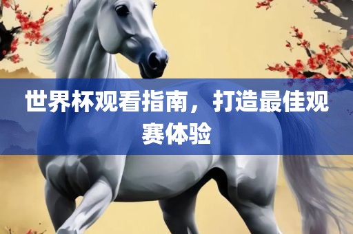 世界杯观看指南，打造最佳观赛体验