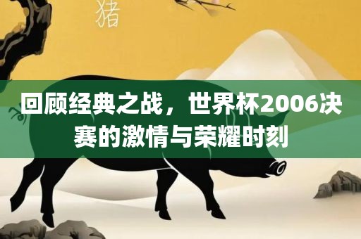 回顾经典之战，世界杯2006决赛的激情与荣耀时刻