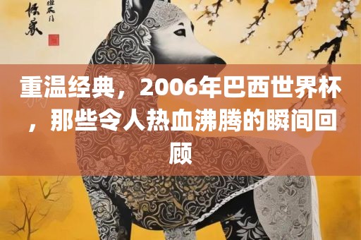 重温经典，2006年巴西世界杯，那些令人热血沸腾的瞬间回顾金炬实业股份有限公司