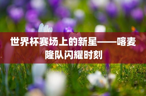 世界杯赛场上的新星——喀麦隆队闪耀时刻金炬实业股份有限公司