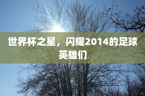 金炬实业股份有限公司世界杯之星，闪耀2014的足球英雄们