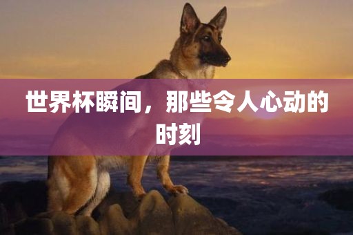 世界杯瞬间，那些令人心动的时刻