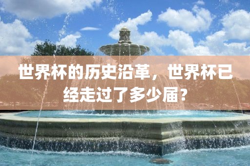 世界杯的历史沿革，世界杯已经走过了多少届？