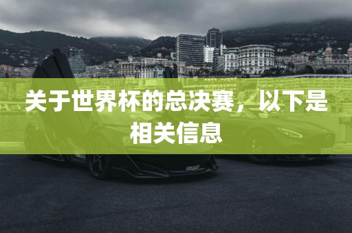关于世界杯的总决赛，以下是相关信息