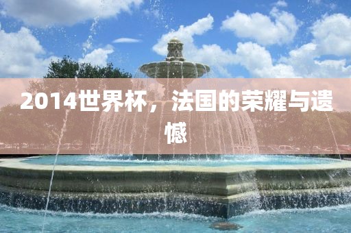 2014世界杯，法国的荣耀与遗憾