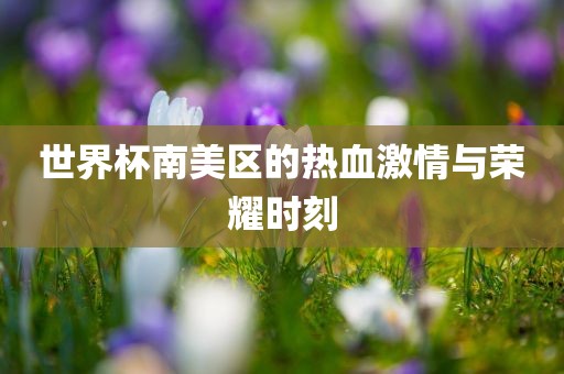 世界杯南美区的热血激情与荣耀时刻金炬实业股份有限公司