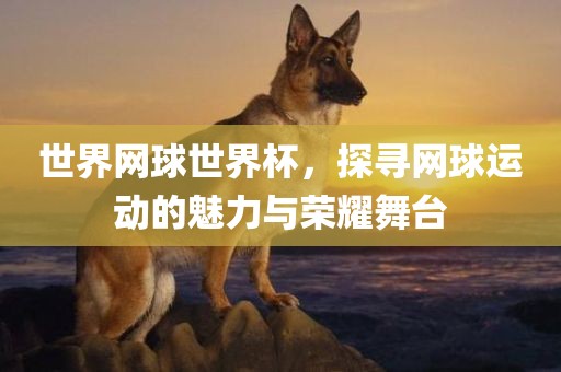 世界网球世界杯，探寻网球运动的魅力与荣耀舞台