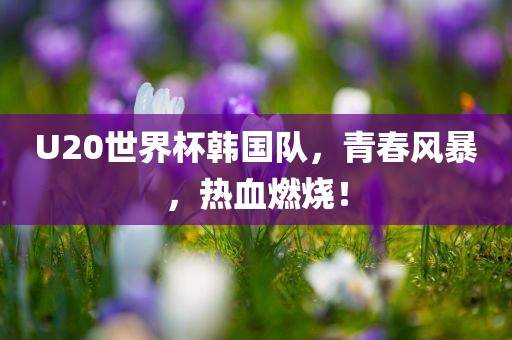 U20世界杯韩国队，青春风暴，热血燃烧！