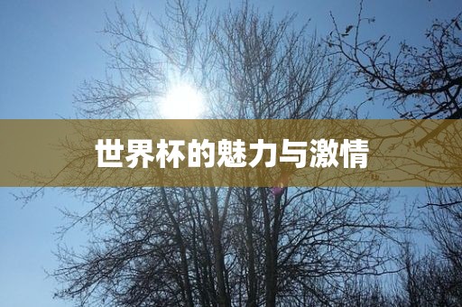 世界杯的魅力与激情