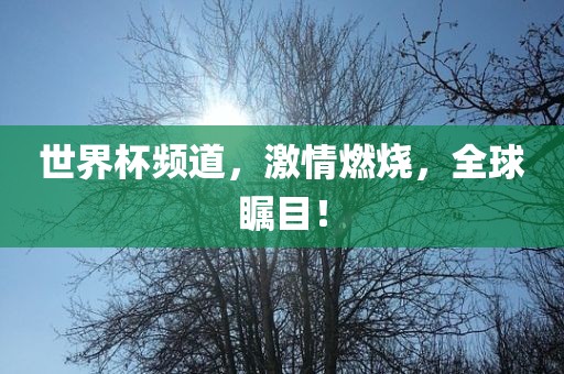 世界杯频道，激情燃烧，全球瞩目！金炬实业股份有限公司