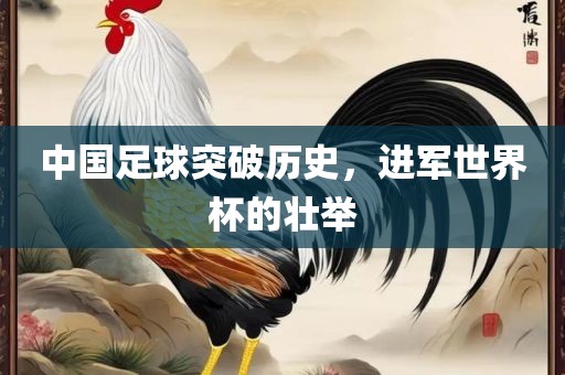 金炬实业股份有限公司中国足球突破历史，进军世界杯的壮举